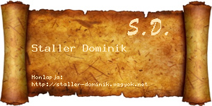 Staller Dominik névjegykártya